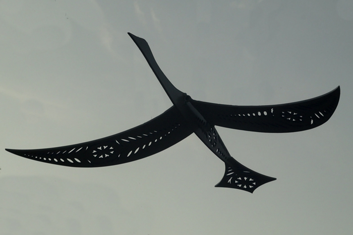 Фотография арт-проекта птица